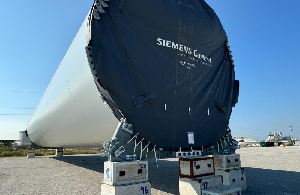 PHOTO-2024-11-25-10-09-27 (2)